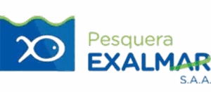 ico exalmar-removebg-preview